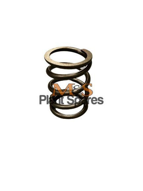 Picture of Spring Coil